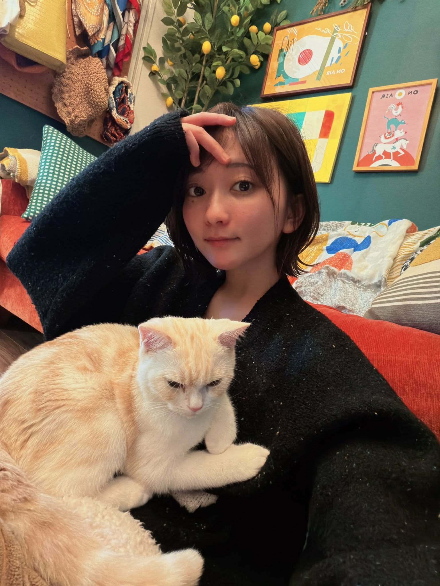 User supplied image--mail editor to report abuse.